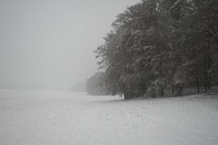 Killikus&reg; Fotographie